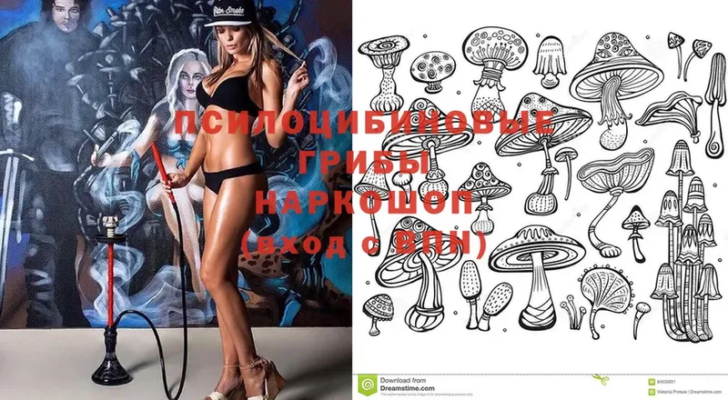 shop клад  Нижняя Салда  Псилоцибиновые грибы Magic Shrooms 